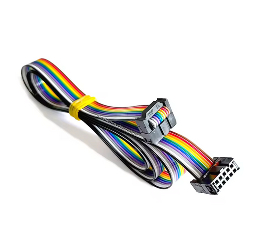 10Pin Regenbogenkabel